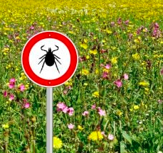 image of sign warning about ticks